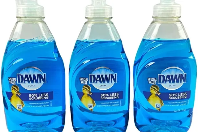 Does Dawn Dish Soap Kill Fleas on Dogs? Vet Reviewed Facts & FAQ