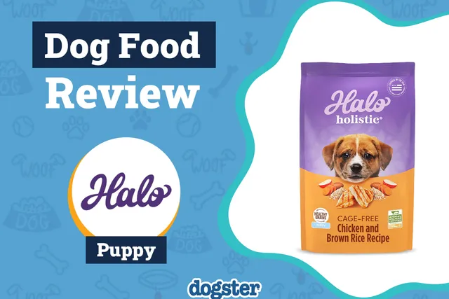Halo Dog Food Review 2026: Recalls, Pros & Cons
