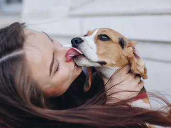 Are Beagles Good Family Dogs? Breed Temperament Explained