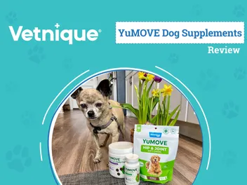 Vetnique YuMOVE Supplements Review 2026: Powerful Joint Care to Fit Your Dog’s Needs