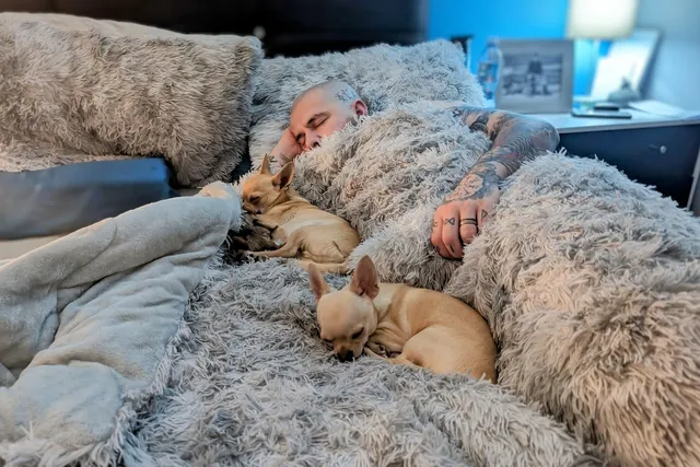 Ned, Fred, and Bed: An Unconventional Approach to Toilet Training