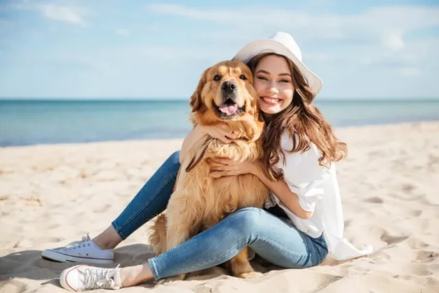 5 Benefits of Taking Dogs to the Beach & Vet-Reviewed Safety Tips