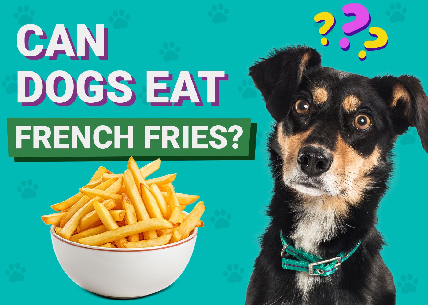 Can Dogs Eat French Fries