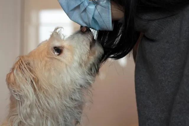 Can Dogs Smell Cancer in Humans? Vet-Verified Facts & FAQ