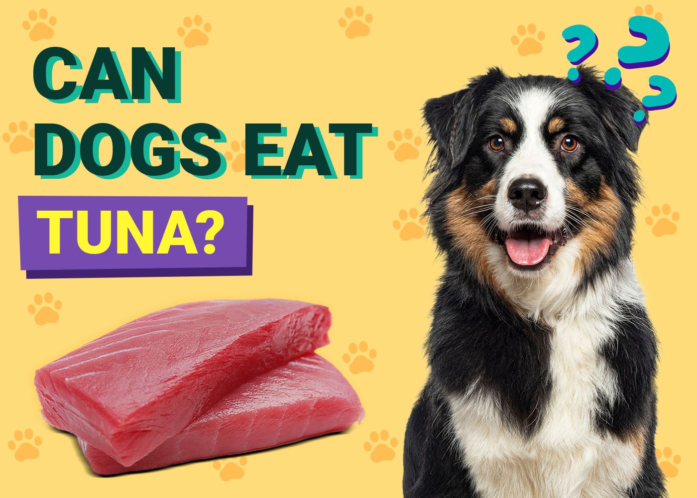 Can Dogs Eat Tuna