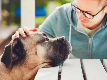 What & When Is National Responsible Dog Ownership Day? (2026 Update)