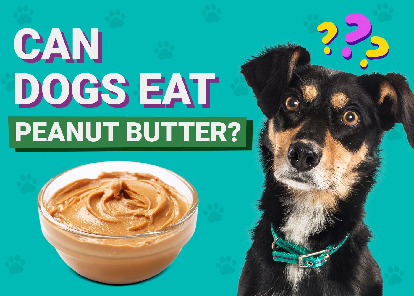 Can Dogs Eat Peanuts
