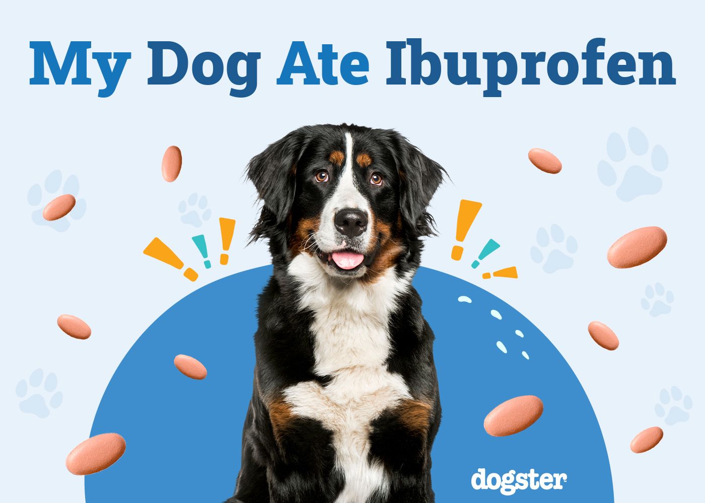 My Dog Ate Ibuprofen: Signs of Toxicity & What to Do (Vet Answer)