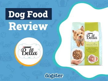 Purina Bella Dog Food Review 2026: Recalls, Pros & Cons