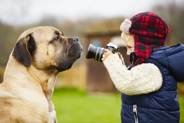 How to Teach a Dog to Respect Children: 10 Vet-Approved Ways