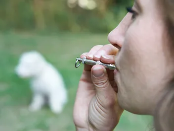 How Do Dog Whistles Work? Vet-Approved Guide & Explanation