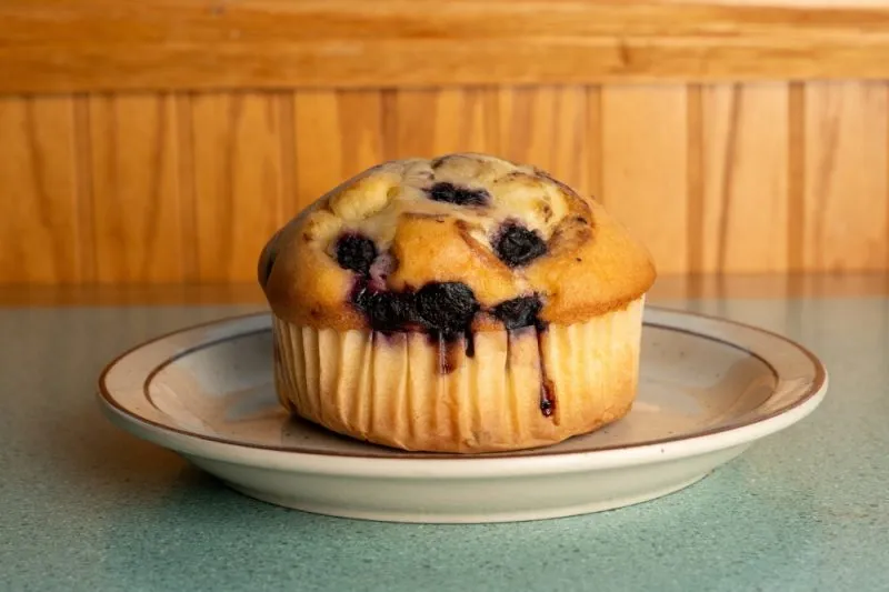 Blueberry muffin on a plate