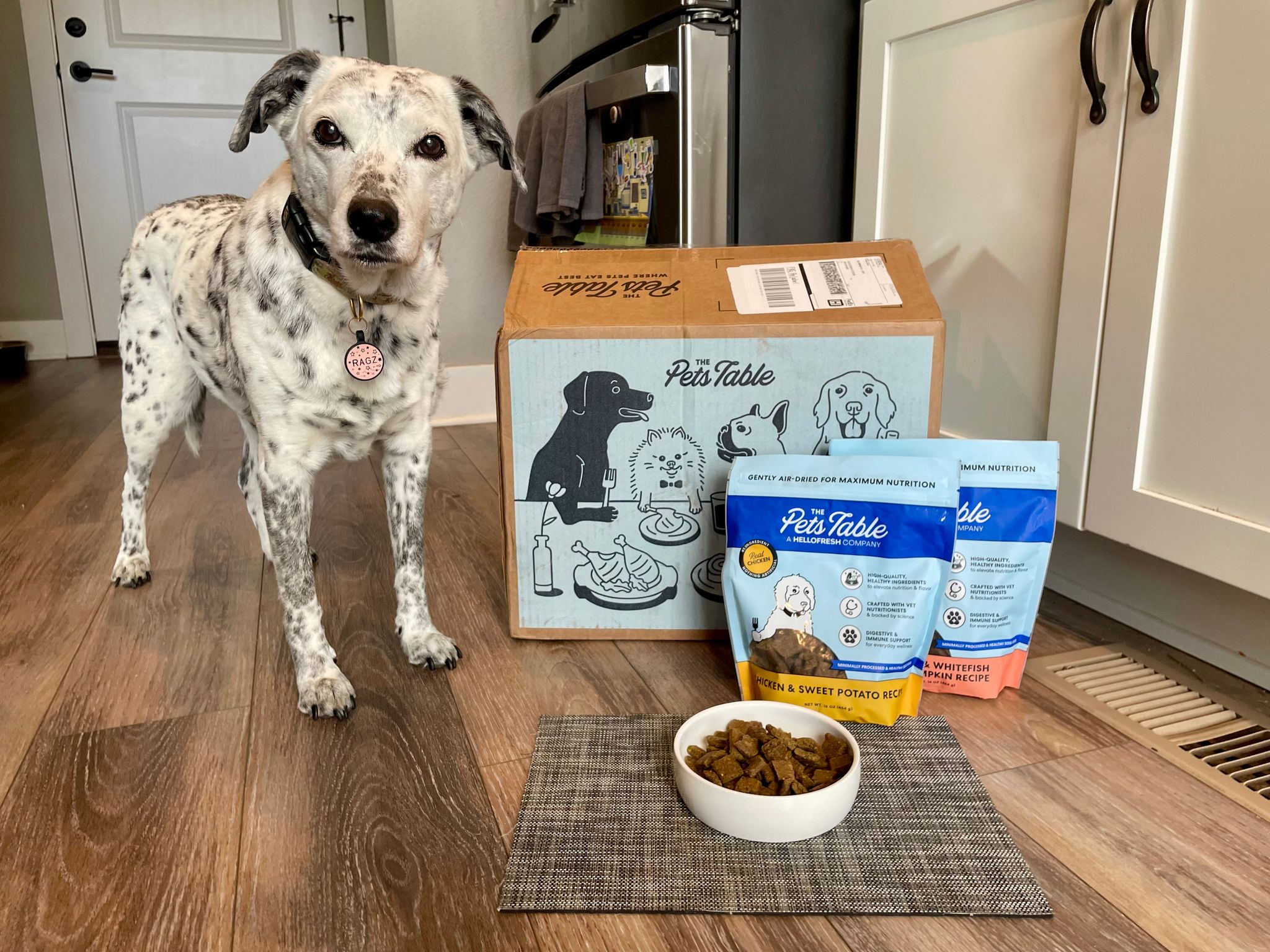 The Pets Table Review 2026: Our Expert’s Opinion