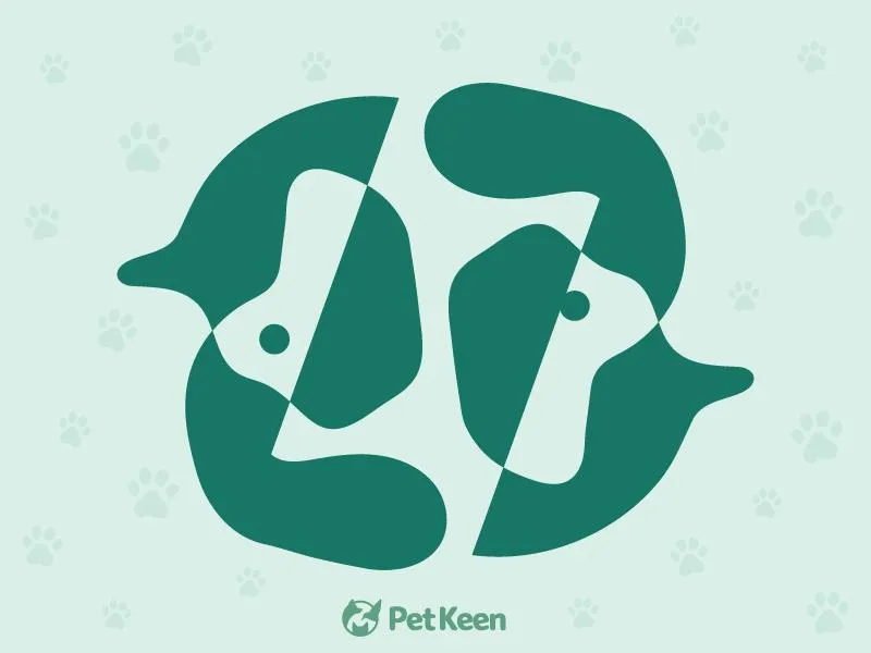 Rorschach inkblot test - image 3
