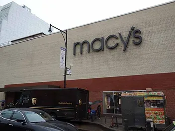 Are Dogs Allowed in Macy’s? (Updated In 2026)