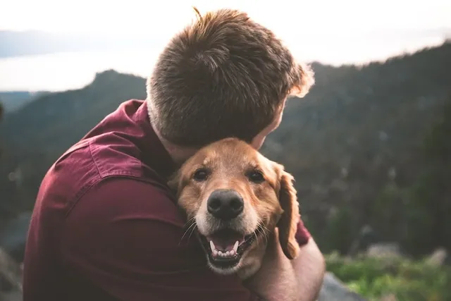 How to Get an Emotional Support Dog in 5 Simple Steps