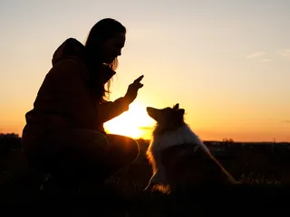 Deaf Dog Awareness Week 2026: What & When Is It?