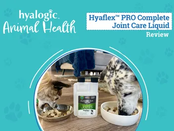 Hyaflex™ PRO Complete Joint Care Liquid Review 2026: Our Hands-On Test