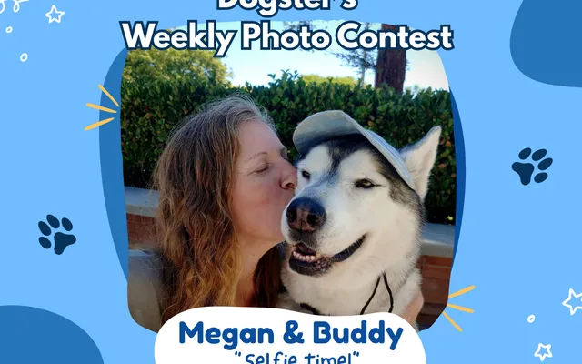 Dogster’s Weekly Photo Contest Winners: Selfie Time! (September 14, 2026)