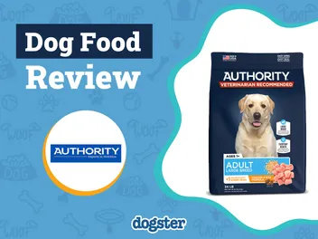 Authority Dog Food Review 2026: Pros, Cons, Recalls & FAQ