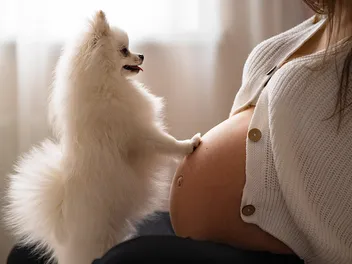 What Is a Dog Doula? Facts & Potential Benefits