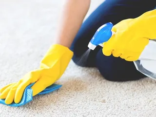 10 Best Carpet Cleaners for Dog Vomit in 2026: Reviews & Top Picks
