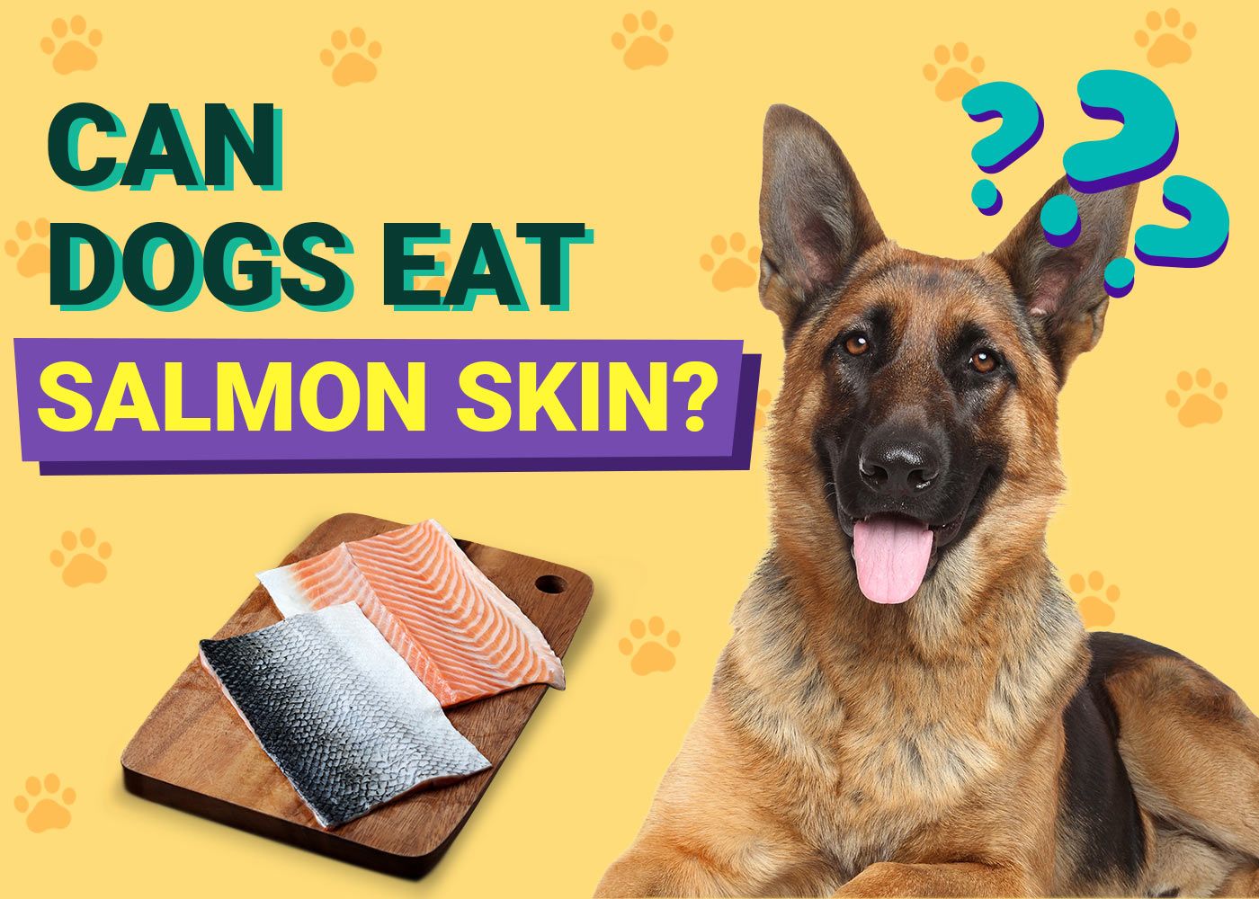 Can Dogs Eat Salmon Skin