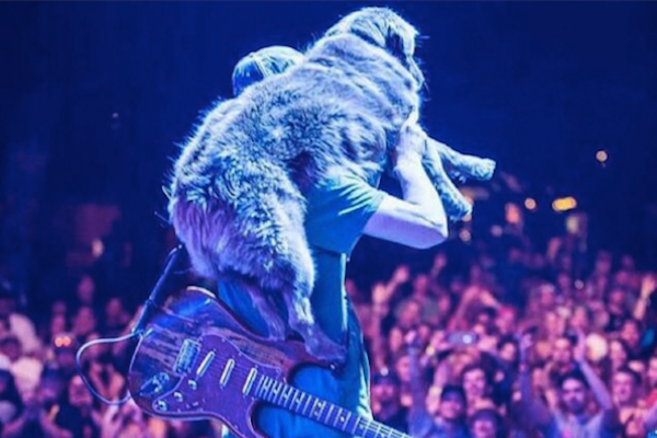 Cocoa the Stick Figure Dog Loves Her Life With Reggae Band