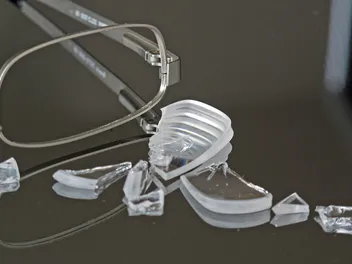 If Your Dog Eats Glass - Here's What Happens Next