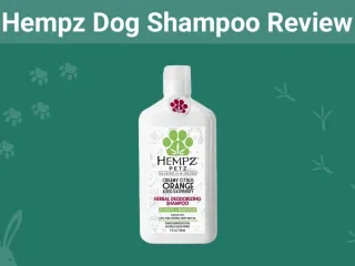 Hempz Dog Shampoo Review 2026: Pros, Cons & Final Verdict