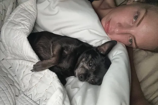 Subi: Our Unexpected Rescue
