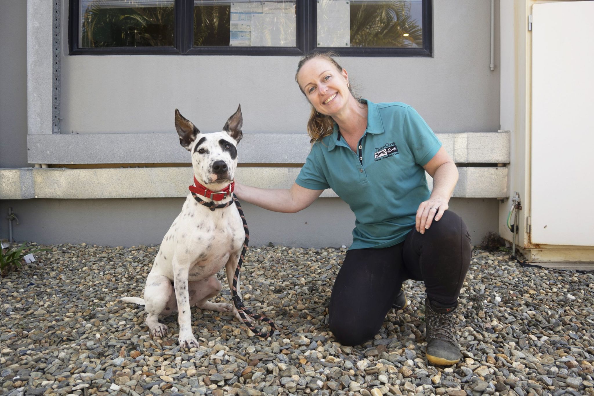 North Queensland Cats and Dogs Shelter Takes a Pragmatic Approach to Give Neglected Animals a Second Chance - 1