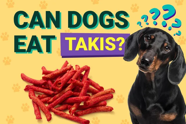 Can Dogs Eat Takis? Vet-Verified Nutrition Facts & Risks