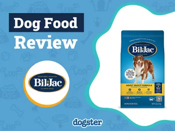 Bil-Jac Dog Food Review 2026: Recalls, Pros & Cons