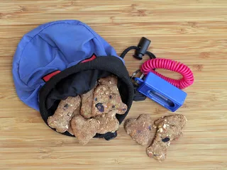 8 Best Dog Treat Pouches in 2026 – Reviews & Top Picks