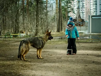 Why Does My Dog Bark at Kids? 6 Likely Reasons