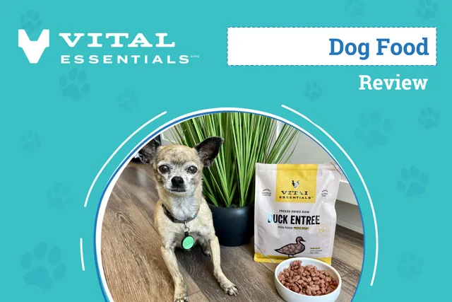 Vital Essentials Dog Food Review 2026: An Expert's Breakdown