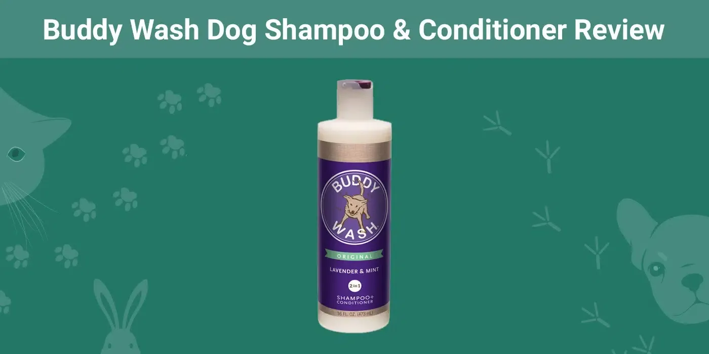 Buddy Wash Dog Shampoo & Conditioner Review 2026: Our Expert's