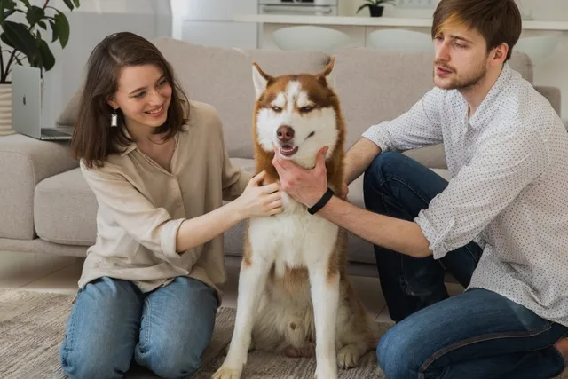 Do Dogs Like Massages? Vet Approved Facts & Tips