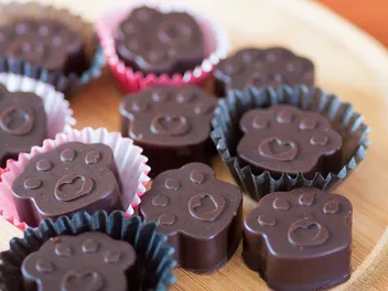 5 Vet-Approved Carob Dog Treat Recipes to Make at Home