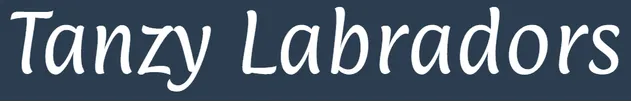 tanzy labs