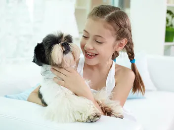 Will a Shih Tzu Be Good With My Kids? Everything You Want to Know! (Vet-Reviewed)