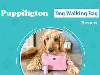 Puppington 3-in-1 Crossbody Dog Treat Pouch Review 2026: Walk Your Furry Friend in Style