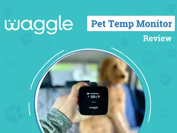 Waggle Pet Monitor Pro+ Review 2026: An Expert's Breakdown