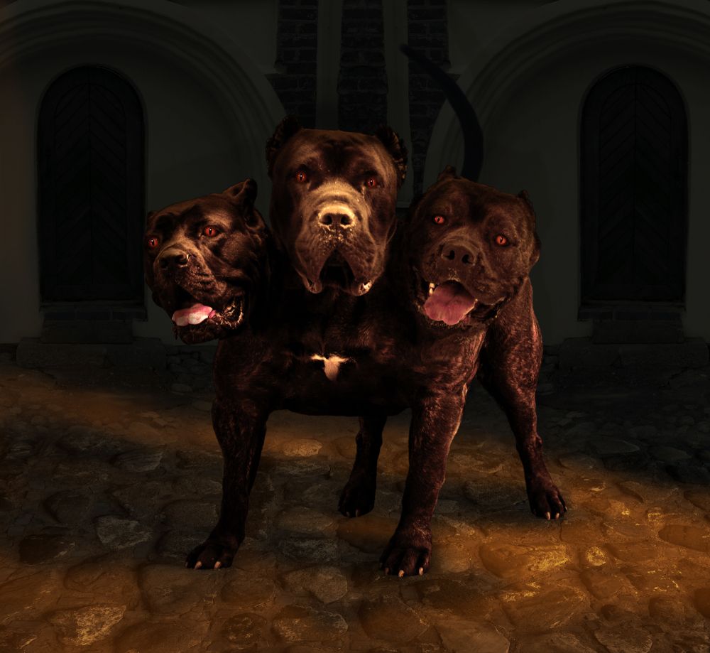 Cerberus mythical monster