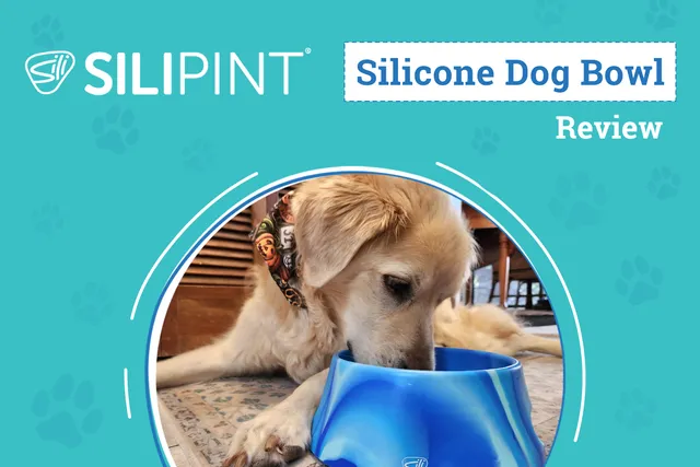 Silipint Silicone Aqua-Fur Dog Bowl Review 2026: An Expert’s Breakdown
