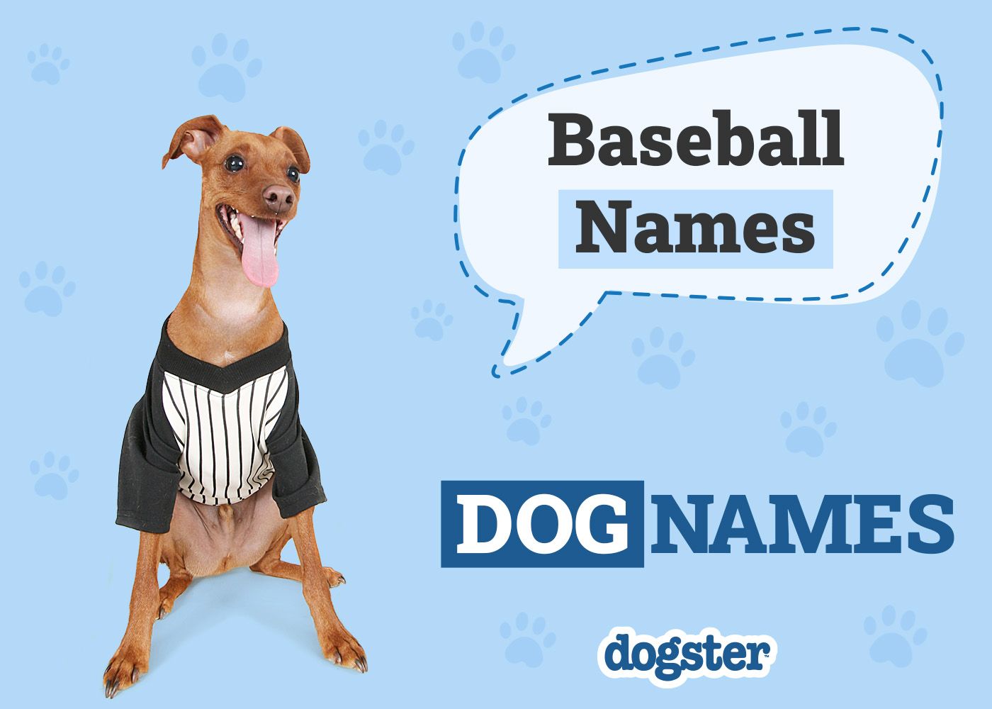 Dogster_Baseball Names