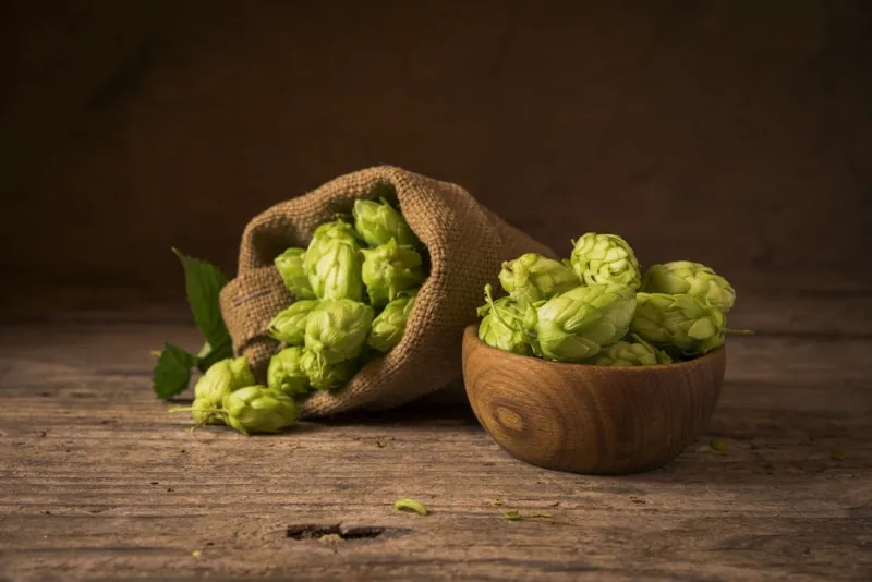 a bag and a bowl of hops