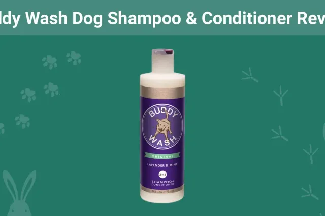 Buddy Wash Dog Shampoo & Conditioner Review 2026: Our Expert's Opinion