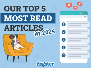 Most Read Articles on Dogster in 2024
